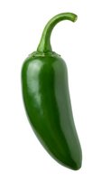 Fresh green jalapeno pepper isolated on white background with stem, ready for culinary design, food packaging, and recipe illustrations.