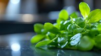 Fresh watercress leaves with water droplets on dark background, macro shot showing vibrant green color and natural texture for healthy food concepts.