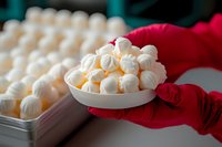 White meringue cookies in ceramic bowl held by hands in red gloves, with tray of additional meringues in soft focus background, sweet dessert presentation.