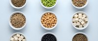 Variety of plant-based protein sources including lentils, chickpeas, tofu, and beans arranged in white bowls on clean background for healthy nutrition.