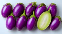 Fresh purple eggplants arranged in rows on white background with one sliced green half showing inner flesh texture, isolated for food and culinary projects.
