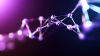 Abstract network connections with glowing purple and blue nodes linked by bright lines creating digital web structure for technology and data visualization.