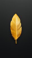 Single golden feather on dark background showcases delicate texture and natural curves, creating dramatic contrast for luxury design projects and artistic compositions.