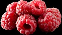 Fresh red raspberries isolated on black background. Ripe organic berries with detailed texture perfect for food photography and healthy eating concepts.