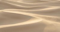Smooth golden sand dunes with flowing curves and soft shadows creating abstract desert landscape patterns for nature and travel backgrounds.