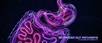 Glowing neon stomach and intestines illustration with flowing purple and pink light effects on dark background for medical, scientific, and healthcare design projects.