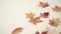 Autumn maple leaves scattered on textured paper background creating warm seasonal composition for fall decorating and craft projects.