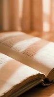 Open vintage book with aged pages bathed in warm golden sunlight creating soft shadows and peaceful reading atmosphere for literature and education concepts.