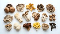 Assorted edible mushrooms including oyster, button, shiitake, and chanterelle varieties arranged on white background for culinary, recipe, and food styling projects.