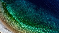 Aerial view of crystal clear turquoise ocean water meeting rocky coastline, showing natural gradient from deep blue to emerald green with sunlight reflecting on surface.