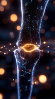Glowing digital visualization of knee joint with orange energy core and wireframe structure against dark background with bokeh light effects for medical design.