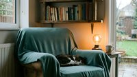 Cozy reading nook with teal armchair draped in soft blanket, wooden bookshelf above, warm lamp, and garden view through window for relaxation and study spaces.