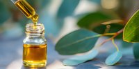 Dropper adding golden eucalyptus essential oil to small glass bottle, with fresh green leaves in soft natural light.