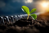 Young green seedling growing from fertile soil at sunrise, with spiral notebook in background creating inspiring composition for environmental concepts.