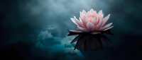 Pink lotus flower floating on dark water surface with dramatic cloudy sky reflection creating serene spiritual meditation atmosphere for wellness concepts.