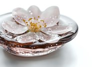 Delicate pink cherry blossom floating in water with droplets, golden stamens visible in center, creating serene spa-like atmosphere on white background.