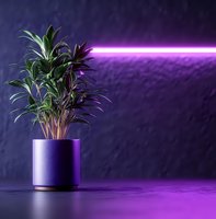Houseplant in purple ceramic pot illuminated by neon light against dark background with glowing horizontal line creates modern aesthetic atmosphere.