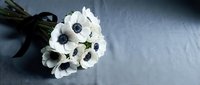 White anemone flowers with dark centers tied with black ribbon on gray background, elegant floral arrangement for wedding decor and romantic occasions.