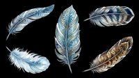 Decorative feathers with intricate patterns isolated on transparent background, ready for t-shirt design, clipart, stickers, sublimation and print-on-demand projects.
