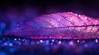 Delicate pink leaf skeleton with water drops on dark background illuminated by neon lights creating magical bokeh effect and dreamy atmosphere.