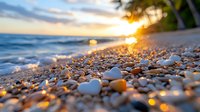 Pebble beach at golden sunset with waves washing ashore, sun rays filtering through palm trees creating magical bokeh effect on wet stones and shells.