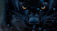 Close up of black panther face with intense glowing amber eyes in darkness, snow particles falling, creating mysterious and dramatic wildlife atmosphere.