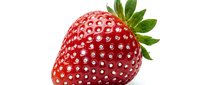 Fresh ripe strawberry with green leafy crown isolated on white background, ready for food and beverage design projects.