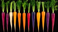 Colorful rainbow carrots with green tops arranged in row on dark background, fresh organic vegetables showing natural variety in purple, orange, white and red.