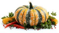 Fresh striped orange and green pumpkin with red chili peppers, corn, parsley leaves and peppercorns arranged on white background for seasonal cooking and decoration.