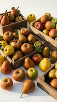 Fresh organic apples and pears in rustic wooden crates for autumn harvest market display and healthy eating concepts.