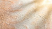 Macro close-up of human skin texture showing natural wrinkles, pores, and fine lines on aged epidermis. Suitable for dermatology, skincare, aging, and medical educational materials.