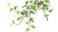 Watercolor ivy vine with green and cream leaves cascading downward on white background, isolated botanical element suitable for wedding invitations, greeting cards, and design projects.