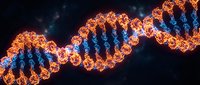 Glowing DNA double helix structure with orange and blue illuminated strands against dark background, representing genetic science and molecular biology research.