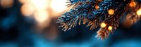 Evergreen pine branch with warm golden bokeh lights creating festive holiday atmosphere for seasonal decorations and winter celebrations.