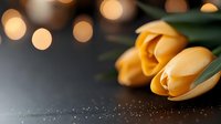 Fresh yellow tulips on dark surface with warm bokeh lights creating romantic spring atmosphere for greeting cards and floral arrangements.