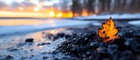 Single orange maple leaf resting on rocky shoreline during golden hour sunset with blurred lake water and warm sky creating peaceful autumn scene.