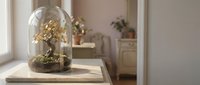 Miniature bonsai tree under glass dome cloche on wooden surface in bright modern interior with natural window light for home decor and botanical display.