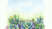 Watercolor succulent plants arrangement with soft pastel colors on white background for botanical art and home decor projects.