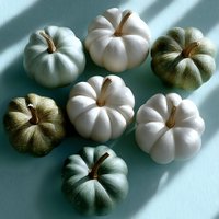 Decorative white and sage green mini pumpkins arranged on mint background with natural shadows creating modern autumn composition for seasonal decor.