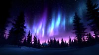 Spectacular aurora borealis dancing across starry night sky above snow-covered forest with silhouetted evergreen trees creating magical winter landscape scene.