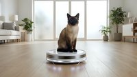 Siamese cat sitting on robotic vacuum cleaner in modern living room with large windows and houseplants for smart home automation concept.