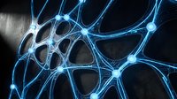 Neural network connections with glowing blue synapses and nodes on dark background for medical education and neuroscience research presentations.