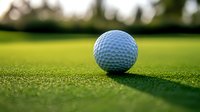 White golf ball on green grass course with soft natural lighting and shallow depth of field creating dramatic shadow. Professional sports background.
