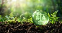 Green transparent sphere with justice scales symbol floating above fertile soil with ferns in sunlit forest representing environmental law and sustainability.
