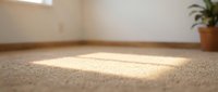 Empty room with beige carpet flooring and natural sunlight streaming through window, suitable for interior design, real estate, and home staging projects.