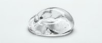 Clear dome food cover with ice cubes inside, isolated on white background, ready for design use in restaurant, catering, and culinary projects.