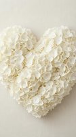 White hydrangea petals arranged in heart shape on neutral background for wedding and romantic decoration projects.