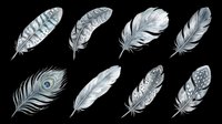 Feather collection featuring eight isolated grayscale designs including peacock, eagle, and decorative plumes on transparent background. Ready for t-shirt designs, clipart, stickers, sublimation, and print-on-demand projects.