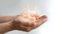 Cupped hands holding glowing neural network connections representing artificial intelligence, innovation and digital transformation in business technology.