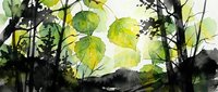 Watercolor painting of green leaves and branches in natural forest setting with soft artistic brushstrokes and organic botanical elements for nature designs.